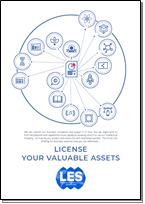 License Your Valuable Assets