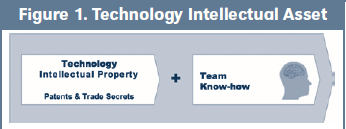Figure 1. Technology Intellectual Asset
