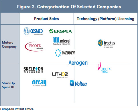 Figure 2. Categorisation Of Selected Companies